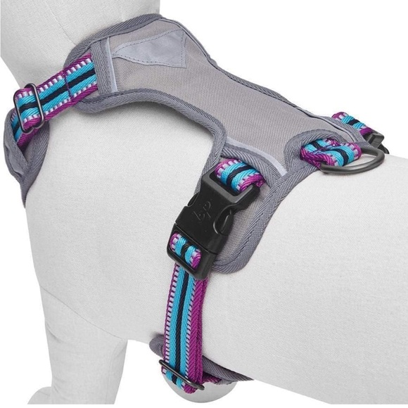 BLUEBERRY PET I Reflective Padded No Pull Dog Harness with Back Clip - Picture 1 of 6